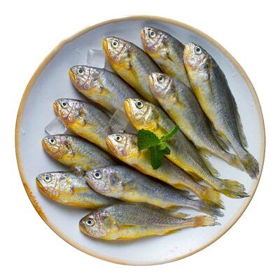 海速达舟山小黄鱼新鲜冷冻深海鲜水产黄花鱼生鲜冰鲜海鱼商用烧烤