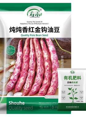 东北红金豆角种子炖肉四季