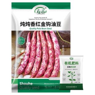 东北红金勾钩豆角种子种籽炖肉沟扁豆芸豆油豆红豆角四季黄金钩秋