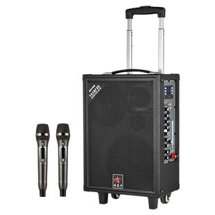 欧美声861专业户外音响K歌大功率广场舞蓝牙音箱便携式带无线话筒大型卖唱叫卖地摊背带拉杆重低音8寸三分频