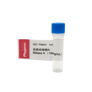 核糖核酸酶A溶液 1mL RNase A 10mg/mL 实验试剂 PH0614 PHYGENE