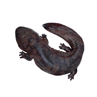 鲜活娃娃鱼 包活到家 养殖场直发 水产海鲜滋补送礼活鱼