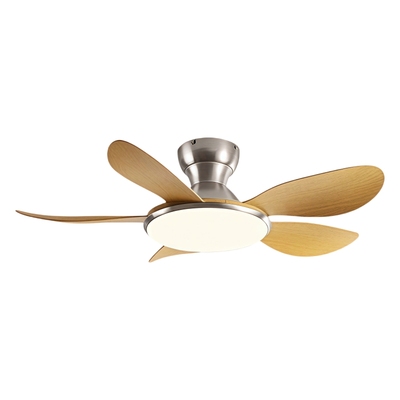 变频大风力家用客厅吸顶风扇灯