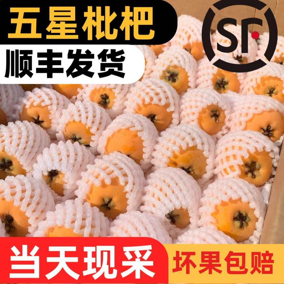 露天五星大枇杷核小肉厚口感香甜新鲜采摘四川重庆枇杷