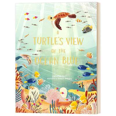 英文原版 A Turtle's View of the Ocean Blue 海龟眼中的海洋 英文版