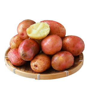 云南红皮黄心土豆9斤包邮新鲜小土豆农家蔬菜洋芋自种马铃薯批发