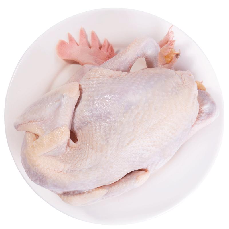 壹号食品老母鸡土鸡走地鸡草鸡笨鸡月子鸡新鲜老鸡肉煲汤鸡1000g