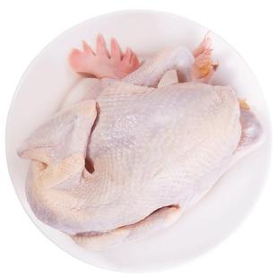 壹号食品老母鸡土鸡走地鸡草鸡笨鸡月子鸡新鲜老鸡肉煲汤鸡1000g