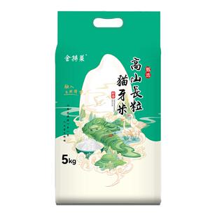 金特莱高山长粒香米猫牙米南方籼米真空包装大米当季新米