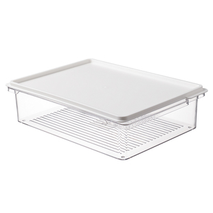 日本进口抗菌冰箱收纳盒食品级密封保鲜盒冷冻室专用储藏盒子整理