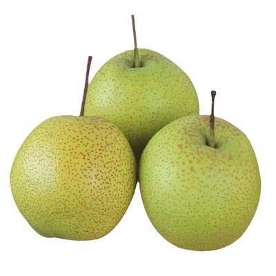 正宗赵县原产地雪花梨果园直发