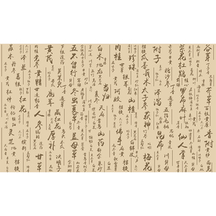 中药材名称中医文化背景墙纸中医理疗养生馆壁画诊所药店药名壁纸