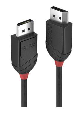 德国lindyDP1.2电竞连接线