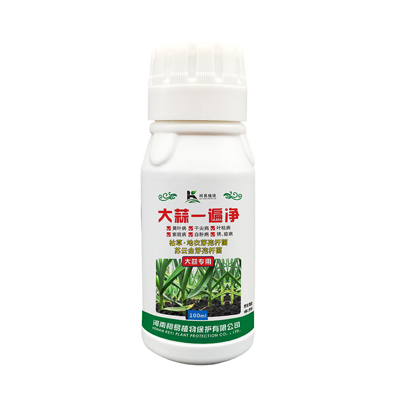 大蒜专用药大蒜黄叶病药黄叶干尖叶枯紫斑白粉锈病专用一遍净