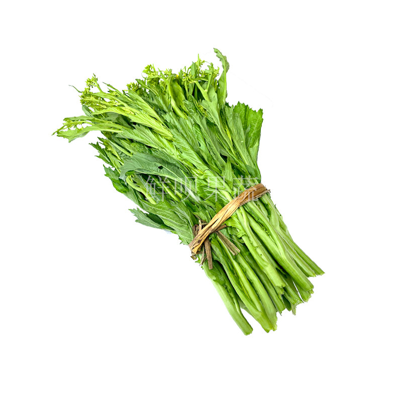 贵州农家冬季新鲜蔬菜青菜苔冲菜