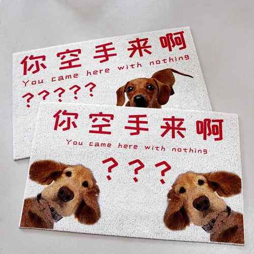 你空手来啊入户门口室内外入门地垫丝圈地毯进门防滑蹭泥宠物定制