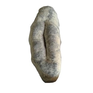 澳洲猪婆参干货黑白猪婆参淡干海参乌石参非洲猪母参野生海参干货