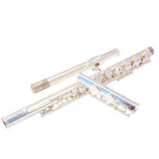 津宝长笛乐器c调16孔开闭孔两用附E键17孔儿童笛子5238/6248镀银