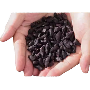 云南富硒黑花生米干瘪粒黑花生去壳黑皮瘪花生原味生养胃零食特产