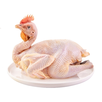 地道海南散养黄油鸡整只柴火煲汤