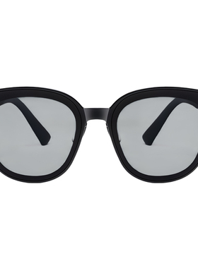 DAYWILD新款太阳眼镜防紫外线