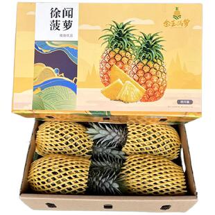 徐闻菠萝新鲜水果广东香水菠萝10斤大果当季整箱发邮政非金钻凤梨