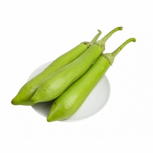 水果茄子青皮绿长茄苗秧圆茄紫黑长茄竹丝白茄种子四季种植蔬菜苗