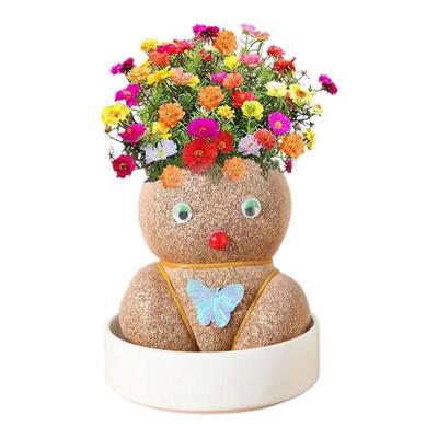 开花娃娃绿植种植花头草头娃娃头上长草植物儿童头发长花小盆栽