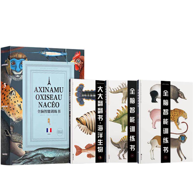 立体翻翻书法国全脑智能训练