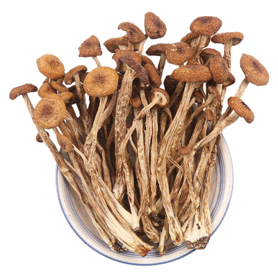 茶树菇干货煲汤材料|政府背书