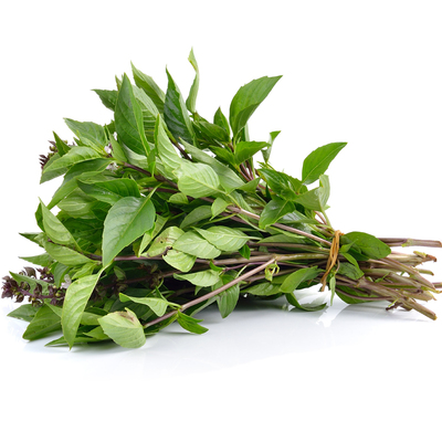 新鲜九层塔三杯鸡冬阴功香料