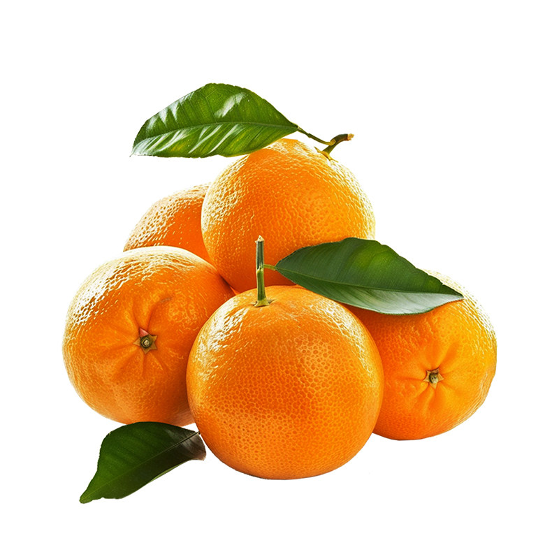 秋拾涌泉蜜桔柑橘无籽薄皮清香