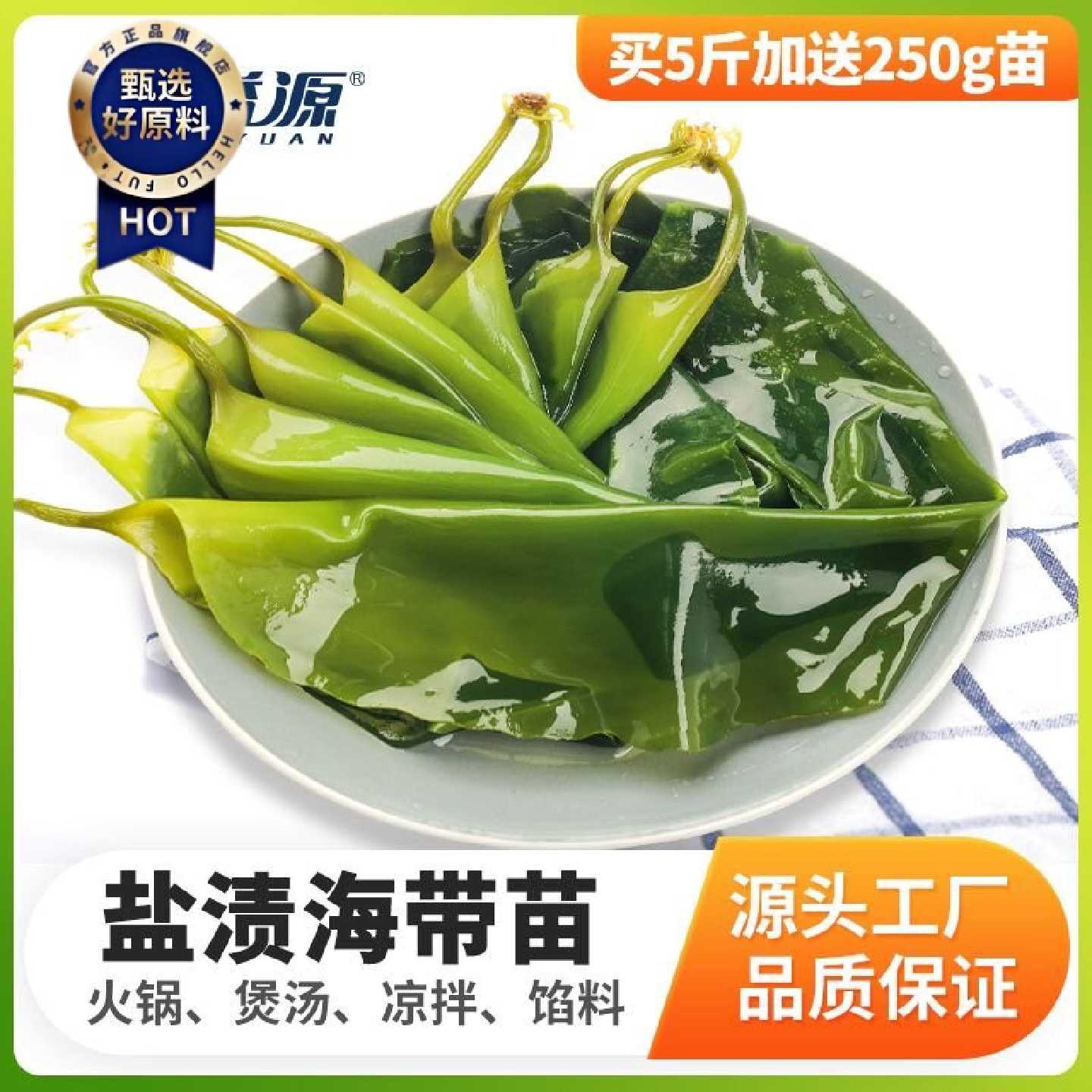 【溢源】海带嫩苗无特级新鲜盐渍海带苗非干货火锅芽霞浦特产