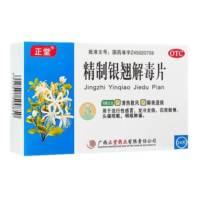 【正堂】精制银翘解毒片44mg*24片/盒
