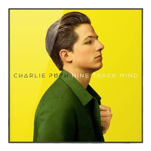 Charlie Puth断眉查理普斯专辑装饰画卧室客厅挂画摆画壁画空白墙