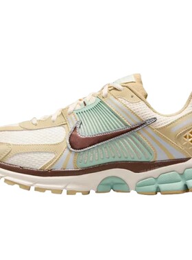 Nike耐克男鞋复古老爹鞋VOMERO 5训练健身运动跑步鞋FB9149-006