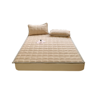 加厚法兰牛奶绒床垫软垫家用单人铺床褥垫被褥子冬季保暖毛毯床盖