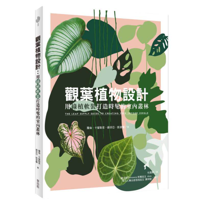 用绿植软装打造时髦的室内丛林