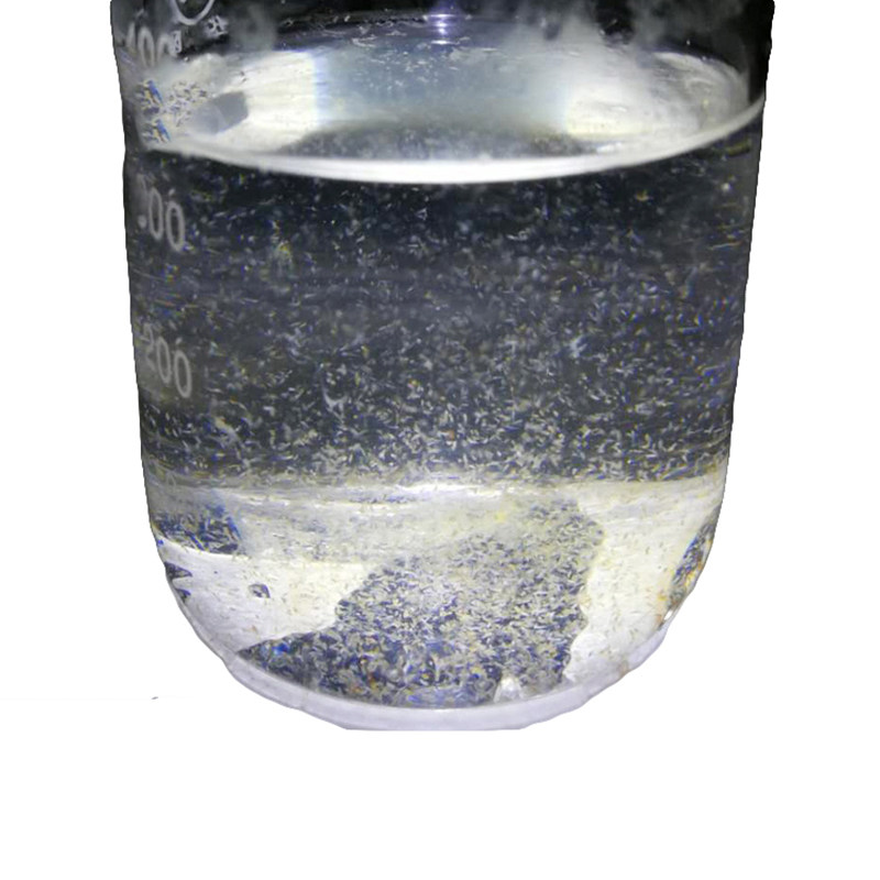 桡足 活体海洋桡足类 水溞蚤扁跳虾海水生物浮游动物开口丰年虾