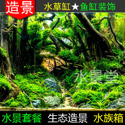 沉木造景套餐 水草缸 圆柱鱼缸 小型鱼缸 鱼缸背景纸 迷你鱼缸