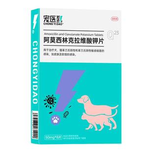 宠医到朗速诺消炎片猫咪感冒药阿莫西林克拉维酸钾宠物狗狗咳嗽药