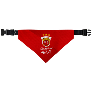 上海海港队势不可挡上港队三星宠物口水巾狗狗猫咪三角巾围巾围脖