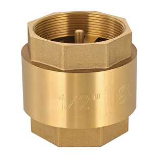 博正BZ4030弹簧消声立式止回阀H12X-16T单向逆止阀