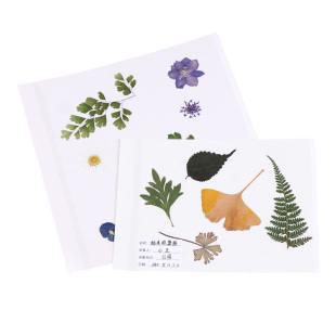 植物标本收集册 干花压花树叶叶子花瓣落叶中药花朵diy粘贴式覆膜标本册塑封膜学生儿童手工制作收藏册记录本