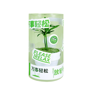 小罗汉松生态杯苔藓微景观室内桌面盆栽工位绿植好养懒人植物