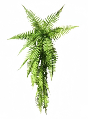 仿真绿植物蕨叶壁挂垂吊装饰花艺