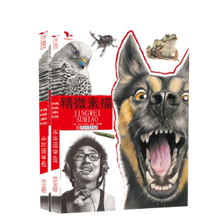 精微素描体系素描基础入门素描静物动物昆虫花卉水果器临摹范本范画对临联考校考央国美术院教马克笔彩铅