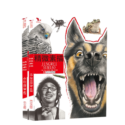 精微素描我有我一套精微素描