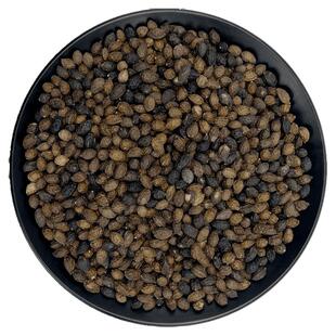 鸦胆子中药鸦胆子籽鸭胆子膏仁油中药材鸭蛋子粉老鸦胆大粒新干货