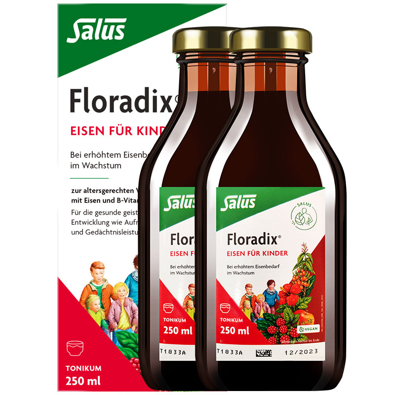 Floradix 德国儿童铁元青少年补铁调气养血调血亏促记忆250ml*2